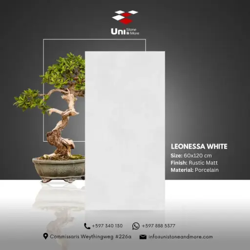 [DCS00074] Leonessa White - Rustic Matt - P - 60x120