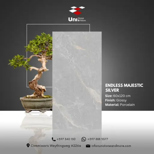 [DCS00076] Endless Majestic Silver - Glossy - P - 60x120