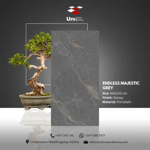 [DCS00077] Endless Majestic Grey - Glossy - P - 60x120