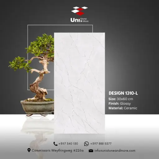 [DCS00079] Design 1310-L - Glossy - C - 30x60