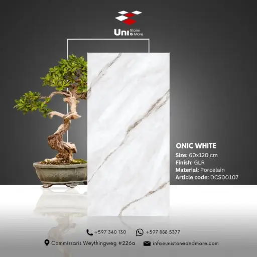[DCS00107] Onic White - GLR - P - 60x120