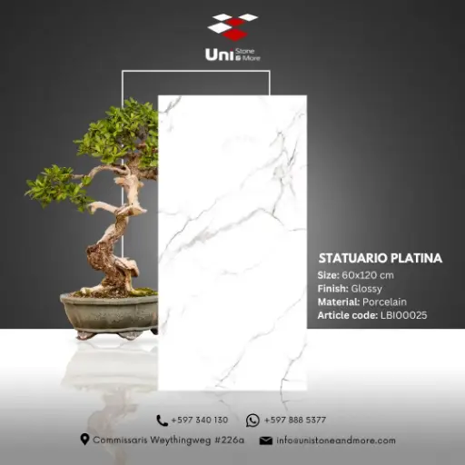 [LBI00025] Statuario Platina - Glossy - P - 60x120