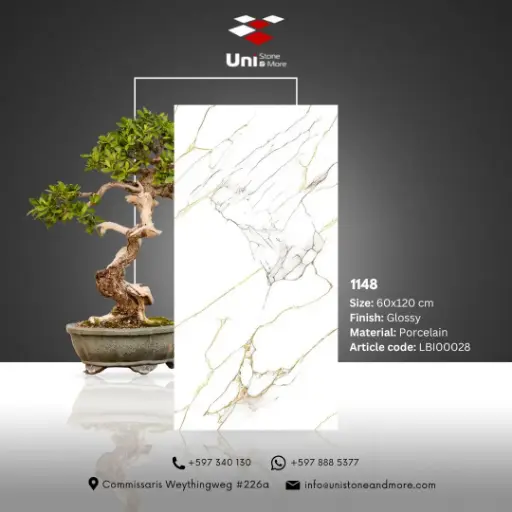 [LBI00028] 1148 - Glossy - P - 60x120