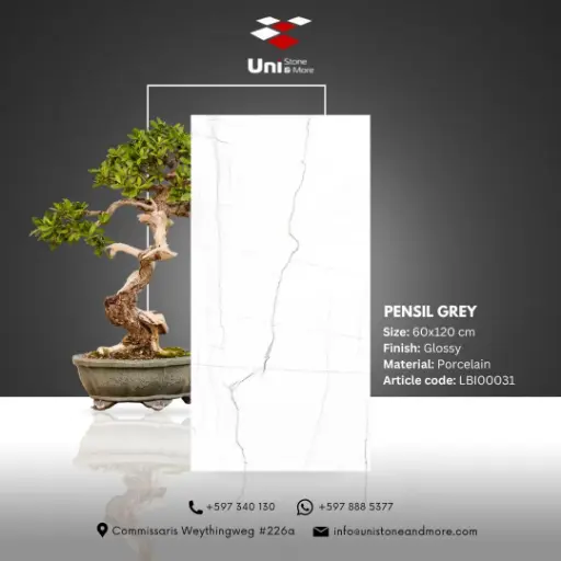 [LBI00031] Pensil Grey - Glossy - P - 60x120