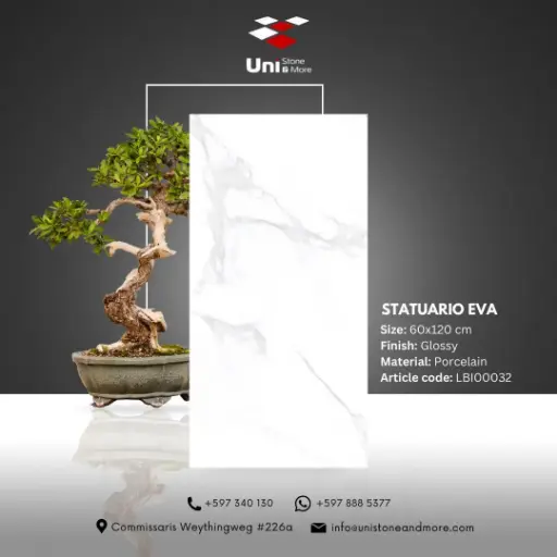 [LBI00032] Statuario Eva - Glossy - P - 60x120