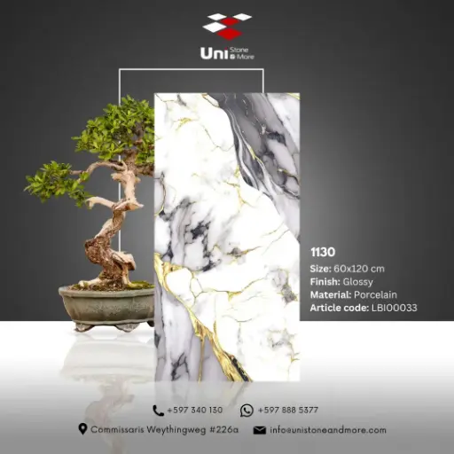 [LBI00033] 1130 - Glossy - P - 60x120