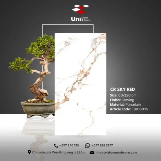 [LBI00035] CR Sky Red - Carving - P - 60x120