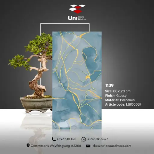 [LBI00037] 1139 - Glossy - P - 60x120