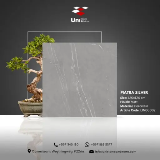 [LIN00002] Piatra Silver - Matt - P - 120x120