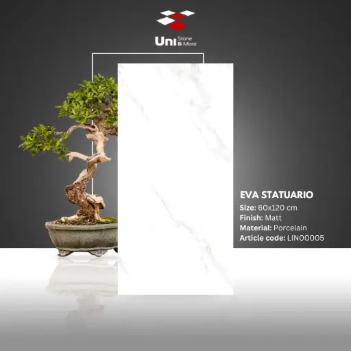[LIN00005] Eva Statuario - Matt - P - 60x120