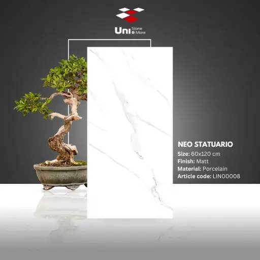 [LIN00008] Neo Statuario - Matt - P - 60x120
