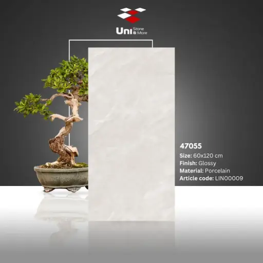 [LIN00009] 47055 - Glossy - P - 60x120