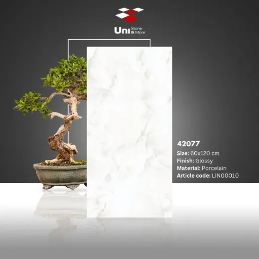 [LIN00010] 42077 - Glossy - P - 60x120