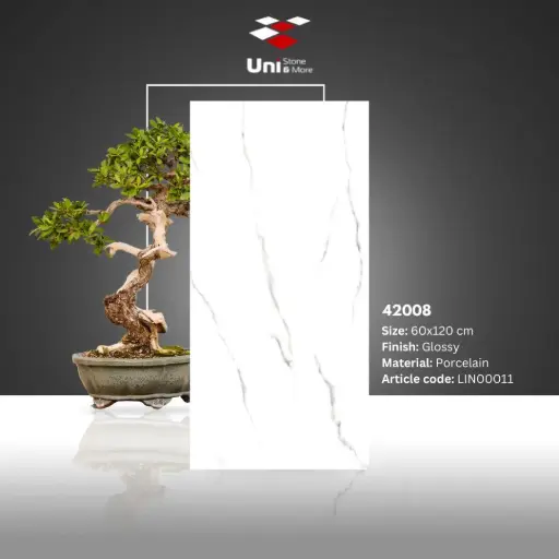 [LIN00011] 42008 - Glossy - P - 60x120