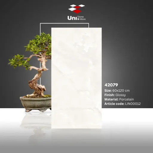 [LIN00012] 42079 - Glossy - P - 60x120