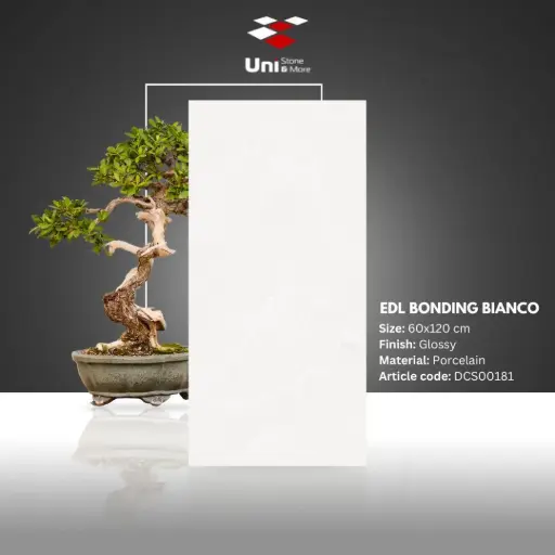 [DCS00181] EDL Bonding Bianco - Glossy - P - 60x120