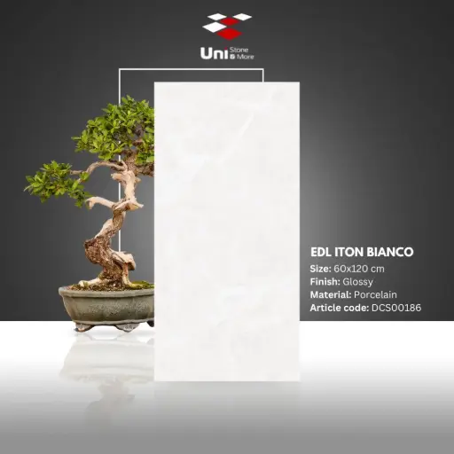[DCS00186] EDL Iton Bianco - Glossy - P - 60x120