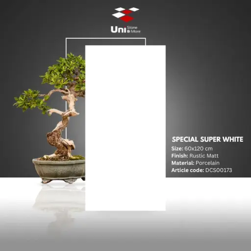 [DCS00173] Special Super White - Rustic Matt - P - 60x120