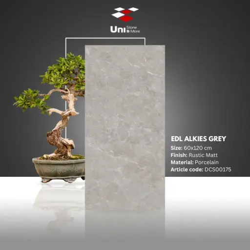 [DCS00175] EDL Alkies Grey - Rustic Matt - P - 60x120