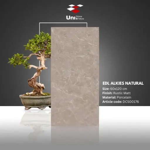 [DCS00176] EDL Alkies Natural - Rustic Matt - P - 60x120