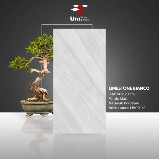 [LBI00142] Limestone Bianco - Matt - P - 60x120