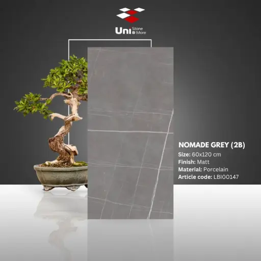[LBI00147] Nomade Grey (2B) - Matt - P - 60x120