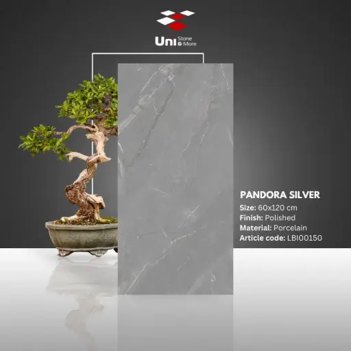 [LBI00150] Pandora Silver - Polished - P - 60x120