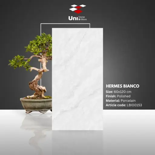 [LBI00153] Hermes Bianco - Polished - P - 60x120
