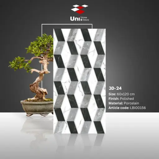 [LBI00156] 3D-24 - Polished - P - 60x120