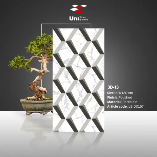 [LBI00157] 3D-13 - Polished - P - 60x120