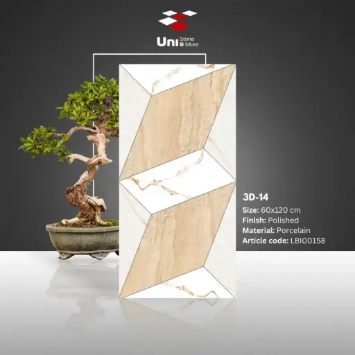 [LBI00158] 3D-14 - Polished - P - 60x120