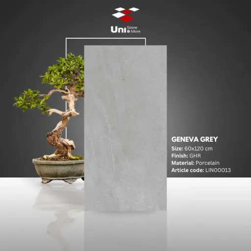 [LIN00013] Geneva Grey - GHR - P - 60x120