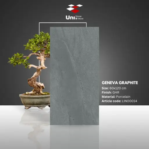 [LIN00014] Geneva Graphite - GHR - P - 60x120