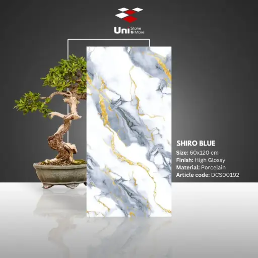 [DCS00192] Shiro Blue - High Glossy - P - 60x120