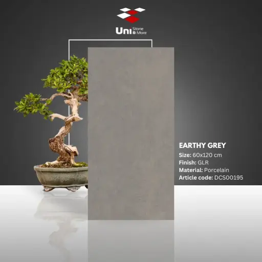 [DCS00195] Earthy Grey - GLR - P - 60x120