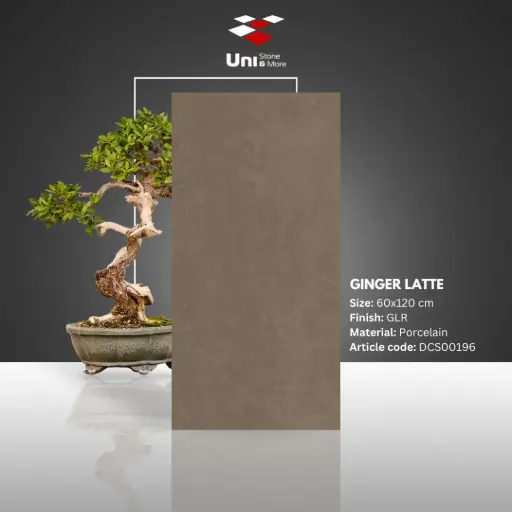 [DCS00196] Ginger Latte - GLR - P - 60x120