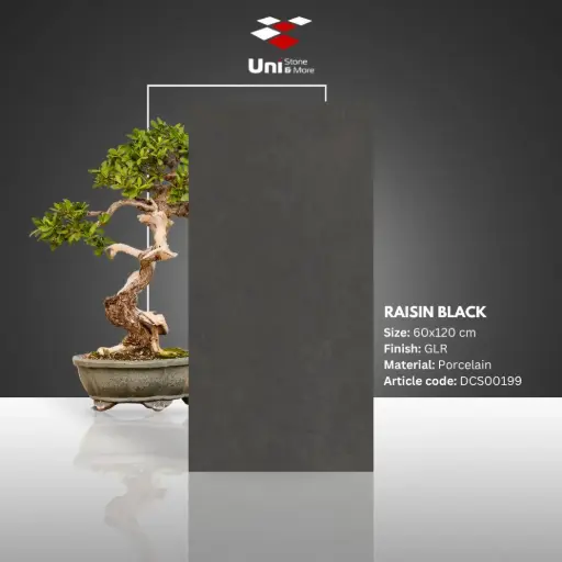 [DCS00199] Raisin Black - GHR - P - 60x120