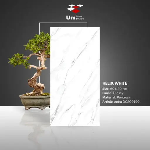 [DCS00190] Helix White - Glossy - P - 60x120