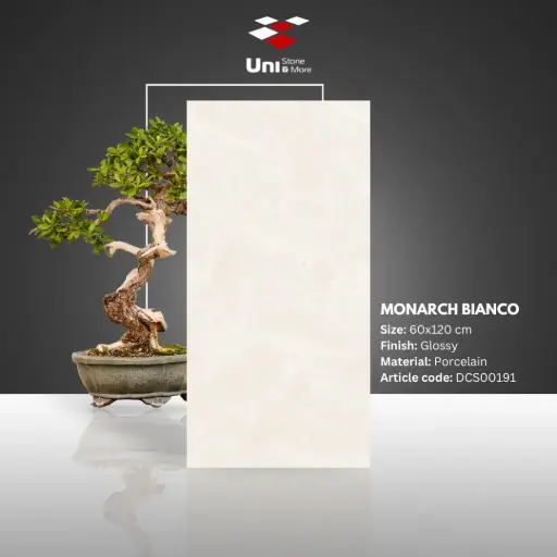[DCS00191] Monarch Bianco - Glossy - P - 60x120