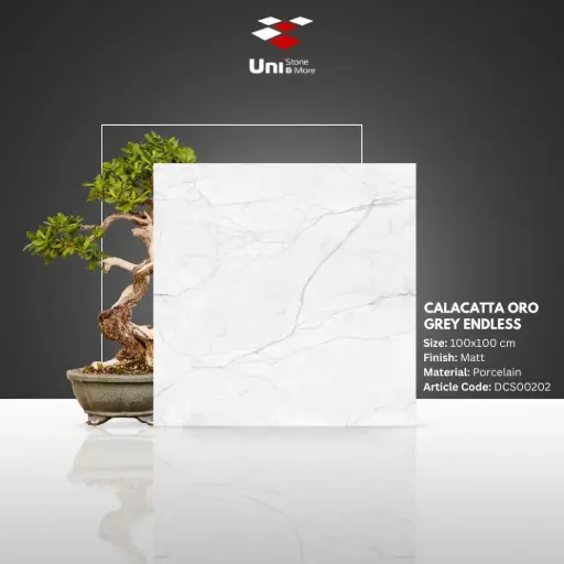 [DCS00202] Calacatta Oro Grey Endless - Matt - P - 100x100