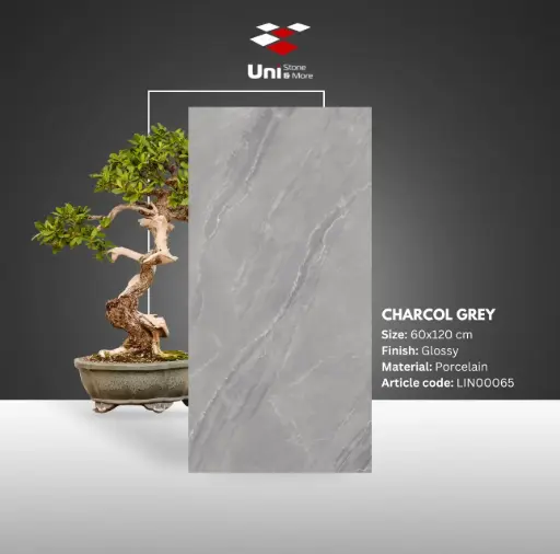 [LIN00065] Charcol Grey - Glossy - P - 60x120
