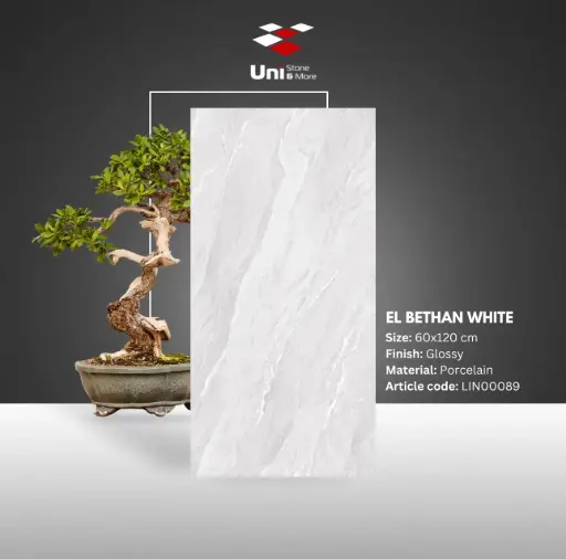 [LIN00089] El Bethan White - Glossy - P - 60x120
