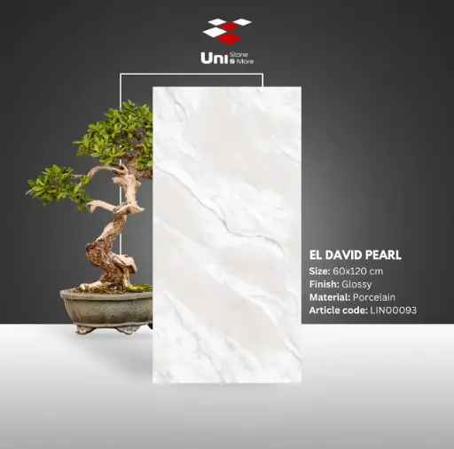 [LIN00093] El David Pearl - Glossy - P - 60x120