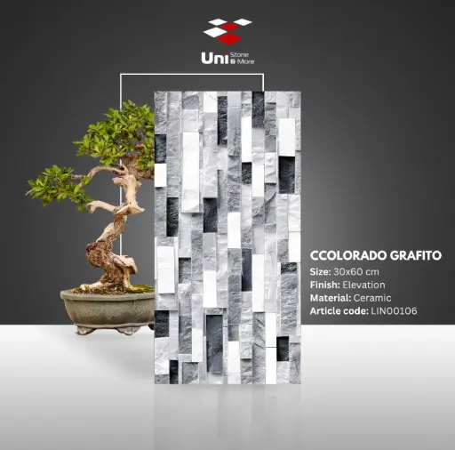 [LIN00106] Ccolorado Grafito - Elevation - C - 30x60