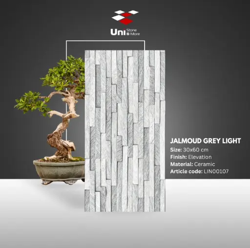 [LIN00107] Jalmoud Grey Light - Elevation - C - 30x60