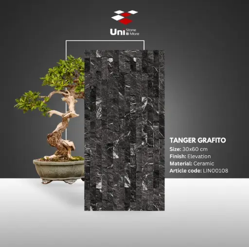 [LIN00108] Tanger Grafito - Elevation - C - 30x60