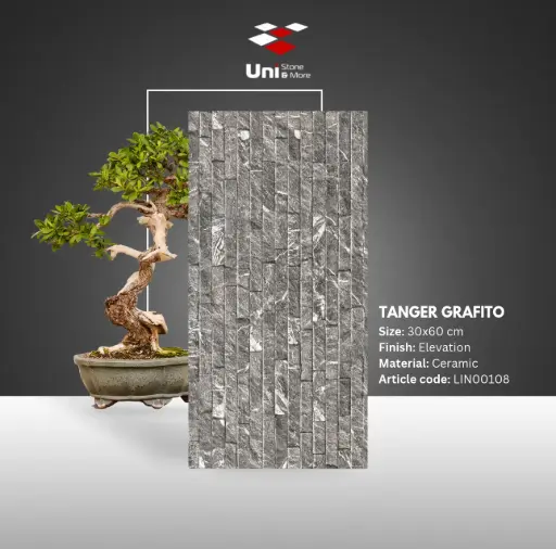 [LIN00108] Tanger Grafito - Elevation - C - 30x60