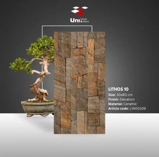 [LIN00109] Lithos 10 - Elevation - C - 30x60