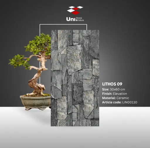 [LIN00110] Lithos 09 - Elevation - C - 30x60