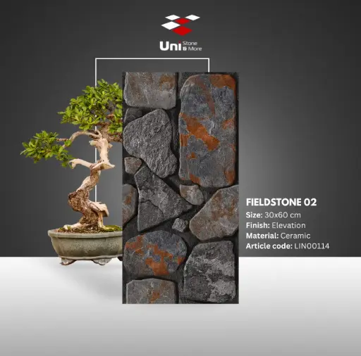 [LIN00114] Fieldstone 02 - Elevation - C - 30x60